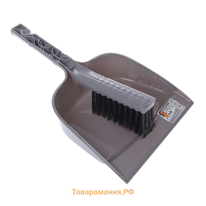 Щётка с совком Svip Disco, пластик, 8×19.5×29 см, МИКС