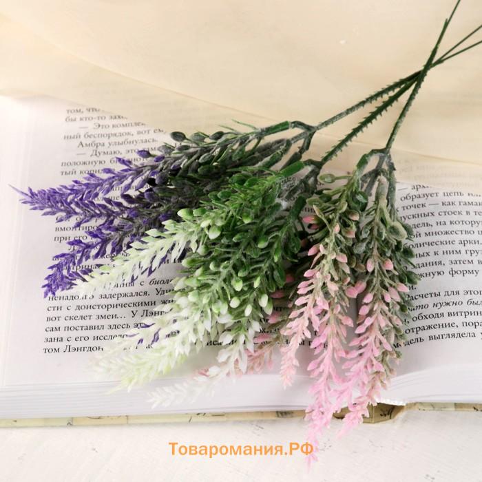 Букет искусственный «Трава пирамидальная», с напылением, 18 см, МИКС