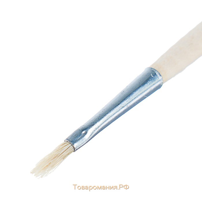 Кисть Щетина плоская № 2 (ширина обоймы 2 мм; длина волоса 10 мм), деревянная ручка, Calligrata