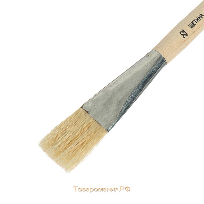 Кисть Щетина плоская №22 (ширина обоймы 22 мм; длина волоса 30 мм), деревянная ручка, Calligrata