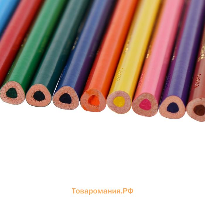 Карандаши 12 цветов BIC Color Up, для подростков и взрослых, трёхгранные, микс