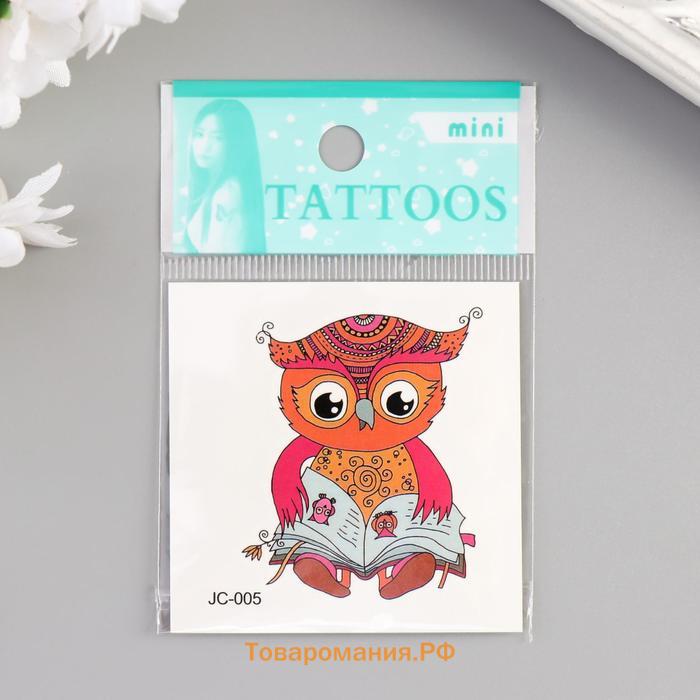 Переводная тату на тело цветная «Совёнок с книгой», 6×6 см