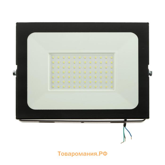 Прожектор светодиодный düwi colorbox, 100 Вт, 6500 К, 8000 Лм, IP65, цветная коробка