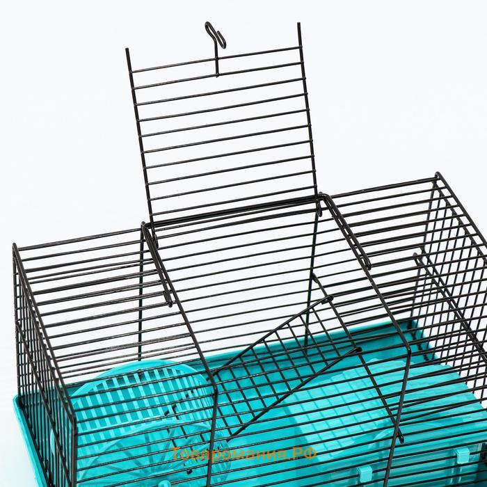 Клетка-мини для грызунов "Пижон" №2, укомплектованная, 27 х 15 х 16 см, бирюзовая