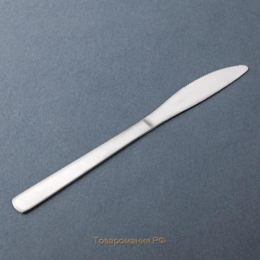 Нож столовый из нержавеющей стали «Майя», длина 22,8 см, цвет серебряный