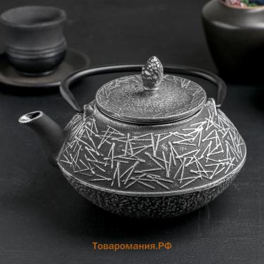 Чайник  «Хрома», 800 мл, с ситом, эмалированное покрытие внутри, чугун, серый