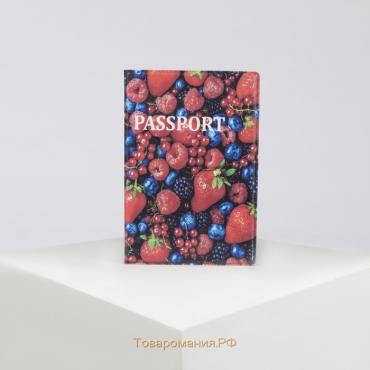 Обложка для паспорта, цвет красный/синий