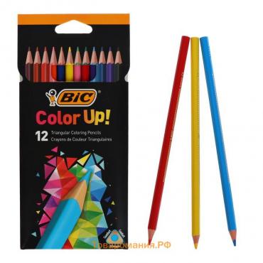 Карандаши 12 цветов BIC Color Up, для подростков и взрослых, трёхгранные, микс