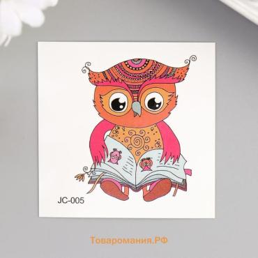 Переводная тату на тело цветная «Совёнок с книгой», 6×6 см