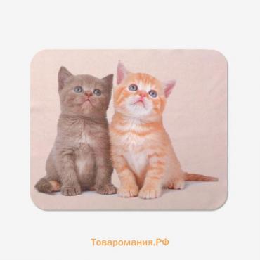 Салфетка для очков TAO41 «Котята», 15×18см, цвет бежевый