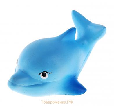Резиновая игрушка «Дельфинёнок», МИКС