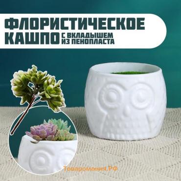 Флористическое кашпо "Совенок" белое, 6,5х6,5х6см